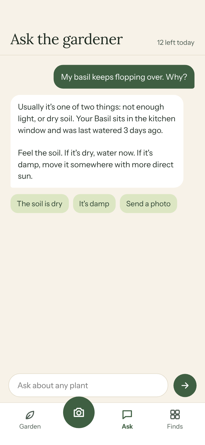 MossWood Ask the gardener chat