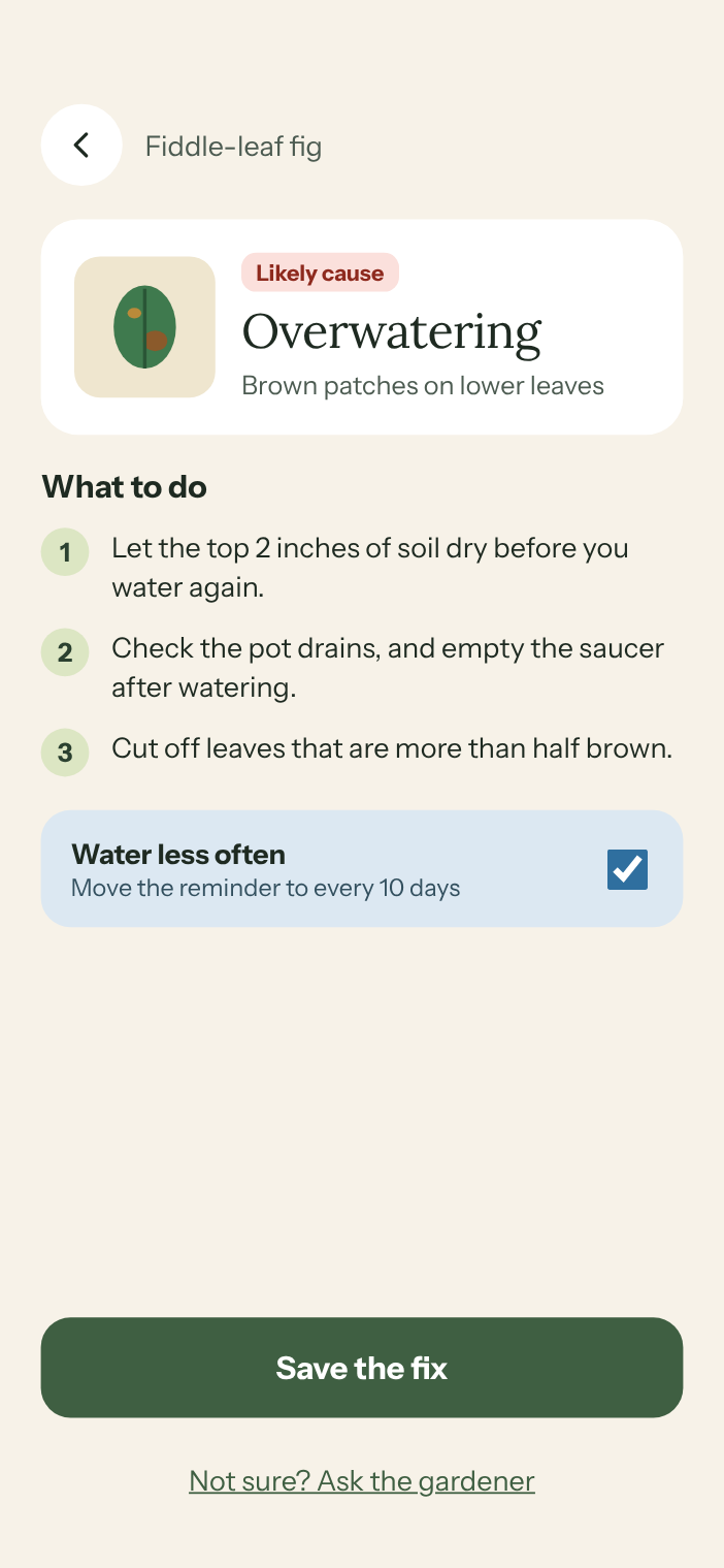 MossWood diagnosing overwatering, with three steps to fix it