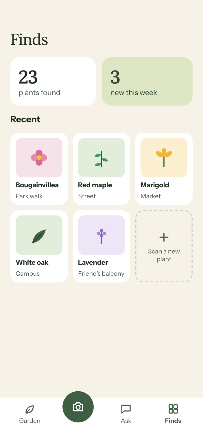 MossWood Finds, a collection of plants identified outdoors