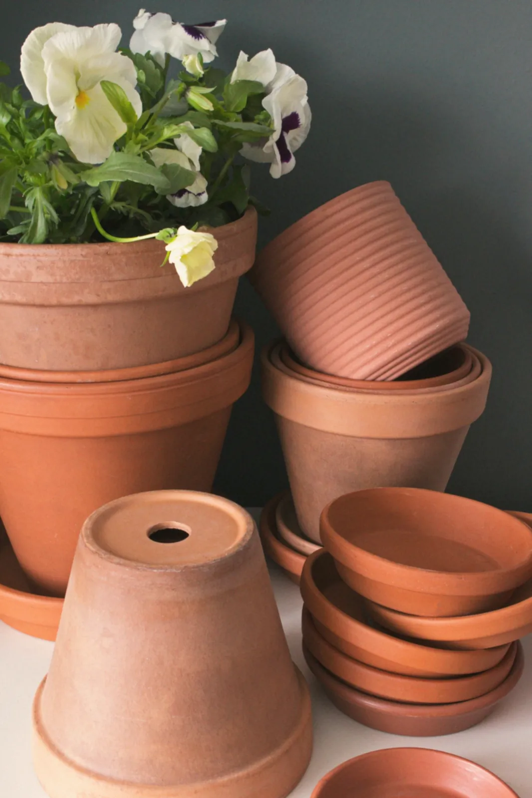 Stacked terracotta pots with white pansies